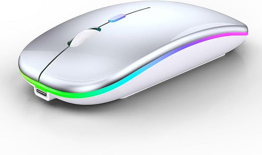 Wireless Bluetooth Mouse Rechargeable Laptop Mice with LED Lights Silent Slim Use(BT5.2 and 2.4G Portable USB Receiver)Dual Mode Computer Mouse for Laptop/iPad/Tablet/Apple/Computer/Mac(Silver)