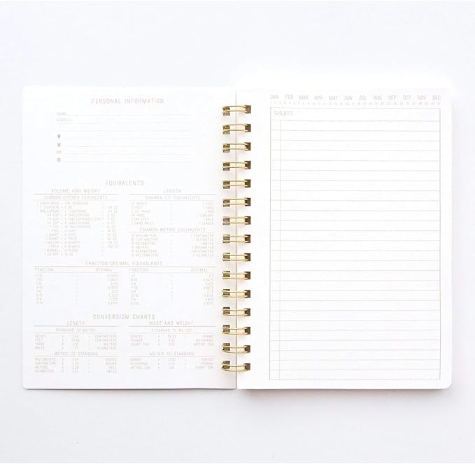 DesignWorks Ink Textured Paper Twin Wire Notebook, Daily Planner & Soft Cover Writing Journal, 160 Lined Perforated Pages, Small Spiral Notebook for Work & Journaling, 6 x 8.25 in, Juniper Green