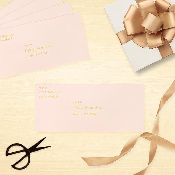 100 Pack #10 Business Envelopes, Blush Pink Standard Envelopes Self Seal, Letter Size Business Mailing Envelopes for Checks Invoices Statements Birthday Graduation Wedding, 4 1/8 x 9 1/2 Inch