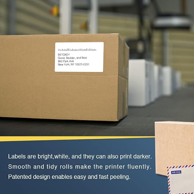 BETCKEY - Compatible Shipping Labels Replacement for Brother DK-1202 (2.4" x 3.9"), Use with Brother QL Label Printers [10 Rolls + 2 Reusable Cartridges]