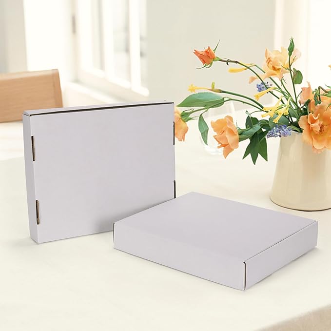 HORLIMER 12x10x2 inches Shipping Boxes Set of 25, White Corrugated Cardboard Box Literature Mailer