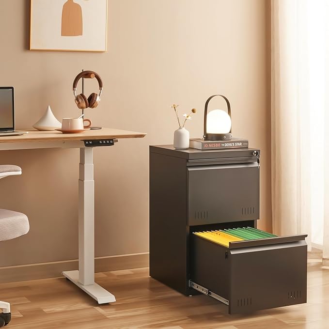 Approgreent 2 Drawer File Cabinets for Home Office, Vertical File Cabinet with Lock, Office Cabinet for A4/Letter/Legal Size, Under Desk Filing Cabinet, Assembly Required(Black)