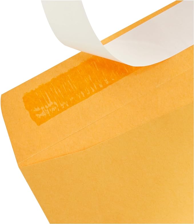 Amazon Basics Self Seal Catalog Envelopes for Business Mailing, Peel and Seal, 6" x 9", Brown Kraft, 100-Pack