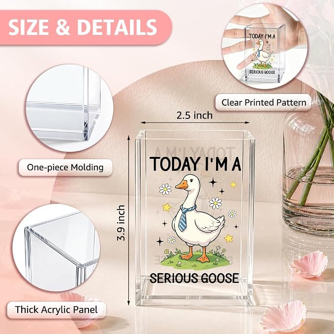Funny Today I'm A Serious Goose Acrylic Pencil Holder Cup for Boss | Silly Goose Pen Holder For Men HR Leader Friends, Sarcastic Humor Office Gifts for Coworkers Goose Lover Desk Accessories