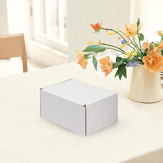 HORLIMER 6x4x3 inches Shipping Boxes Set of 25, White Corrugated Cardboard Box Literature Mailer