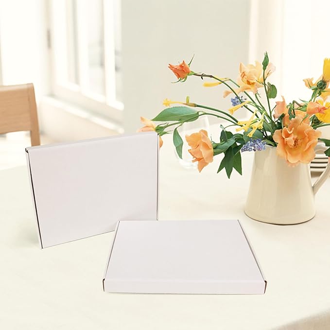 HORLIMER 12x9x1 inches Shipping Boxes Set of 25, White Corrugated Cardboard Box Literature Mailer