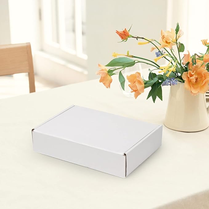 HORLIMER 9x6x2 inches Shipping Boxes Set of 25, White Corrugated Cardboard Box Literature Mailer
