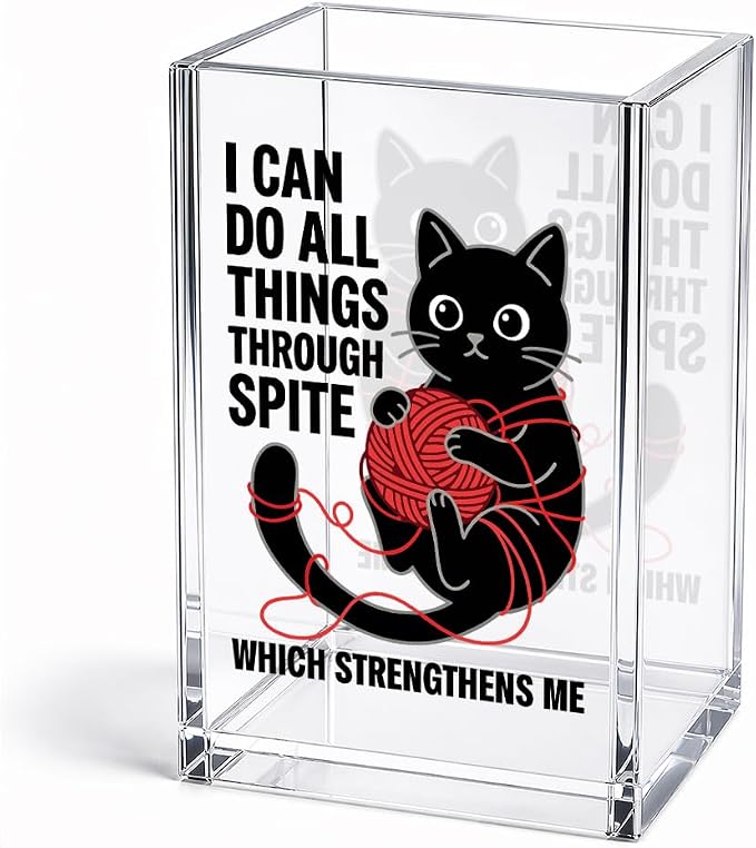 Funny I Can Do All Things Through Acrylic Pencil Holder Cup Gifts | Which Strengthens Me, Cat Pen Holder Gifts for Coworker Boss Friend Teacher Nurse, Sarcastic Desk Organizer for Cat Lover