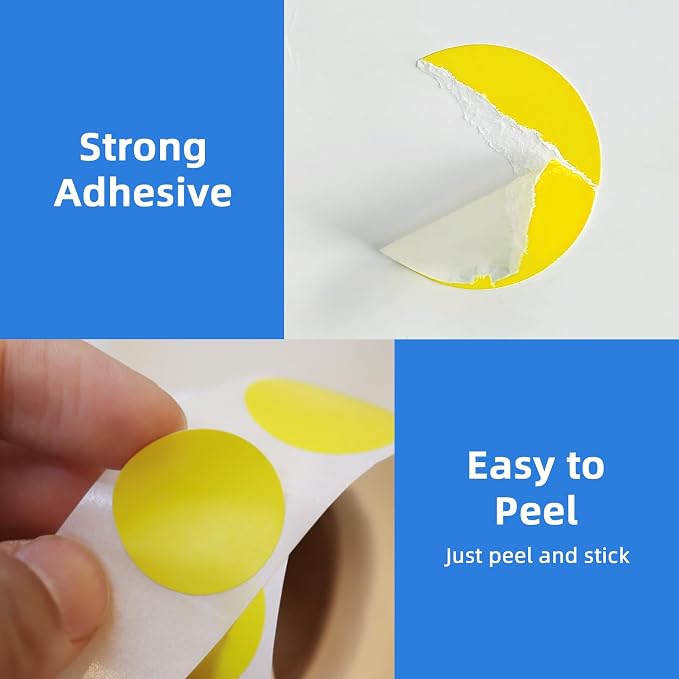 3/4" Round Color Coding Circle Dot Sticker Labels, 6 Colors | 6 Rolls (500/Roll) - 3000 PCS, Self Adhesive Dots Stickers, for Toddler/Office/Family/Student Classroom, BPA free & Easy Peel