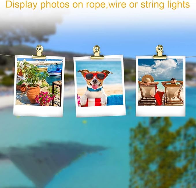 Coideal Small Gold Bull Hinge Clips, 30 Pcs Tiny Metal Binder Paper Clips for Tags Bags, Pictures Photos, Wire Grid Wall Decor, Office and Home Kitchen (Light Gold, 22mm)