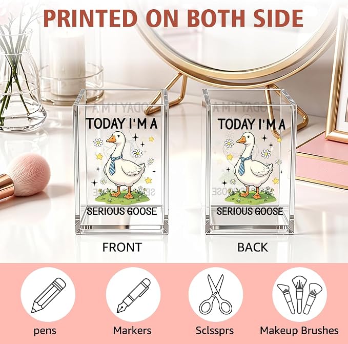 Funny Today I'm A Serious Goose Acrylic Pencil Holder Cup for Boss | Silly Goose Pen Holder For Men HR Leader Friends, Sarcastic Humor Office Gifts for Coworkers Goose Lover Desk Accessories