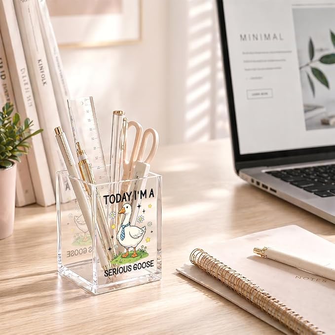 Funny Today I'm A Serious Goose Acrylic Pencil Holder Cup for Boss | Silly Goose Pen Holder For Men HR Leader Friends, Sarcastic Humor Office Gifts for Coworkers Goose Lover Desk Accessories