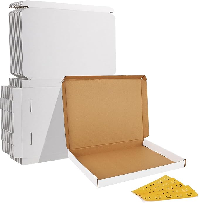 HORLIMER 12x9x1 inches Shipping Boxes Set of 25, White Corrugated Cardboard Box Literature Mailer