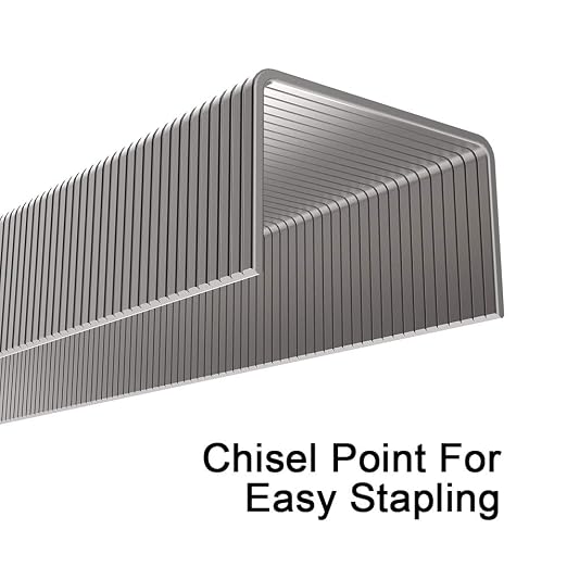 Rayson Heavy Duty Staples, Enhanced 1/4" Leg Length, 1/2" Width, 2000 Staples (30 Sheets)