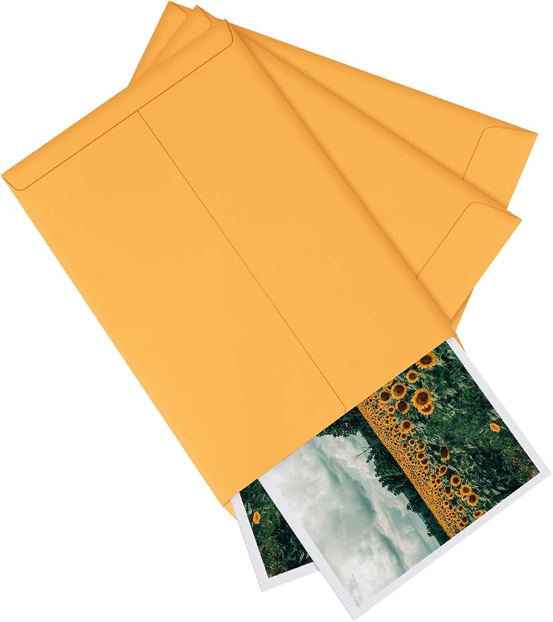 Eupako Catalog Envelopes 6x9 Small Brown Envelopes Self Seal 250 Pack for Mailing, Organizing, Storage