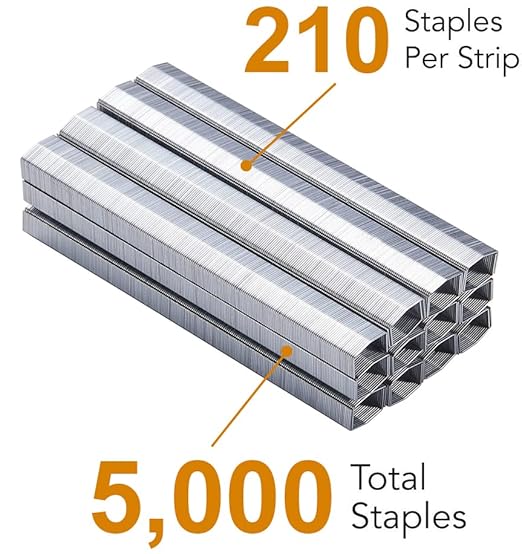 B8 Staples 1/4 inch Heavy Duty Staples for Standard B8 Stapler, 2 Pack Staple, 10,000 Pack