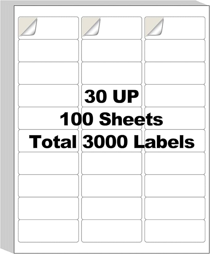 100 Sheets 3000 Labels 30-up 1" x 2-5/8" Shipping Address Labels for Laser and Inkjet Printers, AveneMark 30 UP Labels Return Mailing Labels, 30 per Page