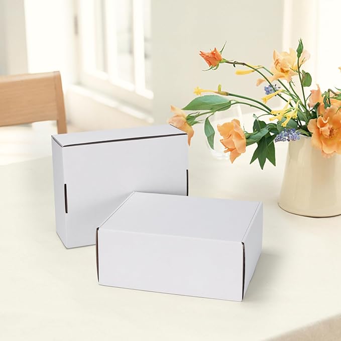 HORLIMER 10x8x4 inches Shipping Boxes Set of 20, White Corrugated Cardboard Box Literature Mailer