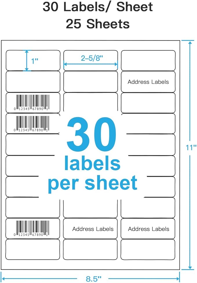 Shipping Address Labels, 1" x 2-5/8" Address Labels for Laser & Inkjet Printers, Mailing Labels, Strong Adhesive for FBA Label, Easy to Peel (25 Sheets, 750 Labels)