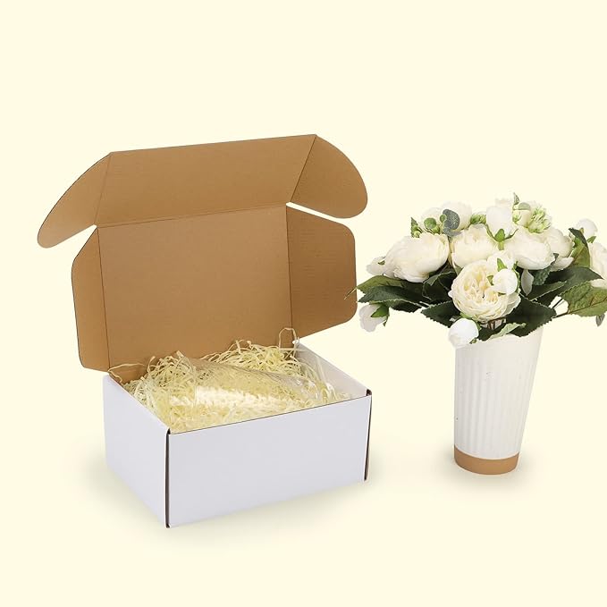HORLIMER 9x6x4 inches Shipping Boxes Set of 25, White Corrugated Cardboard Box Literature Mailer