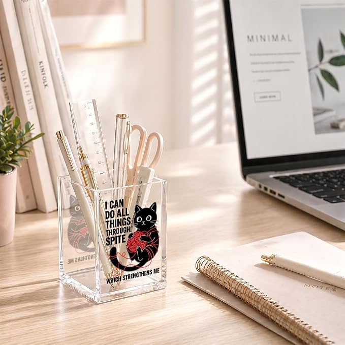 Funny I Can Do All Things Through Acrylic Pencil Holder Cup Gifts | Which Strengthens Me, Cat Pen Holder Gifts for Coworker Boss Friend Teacher Nurse, Sarcastic Desk Organizer for Cat Lover