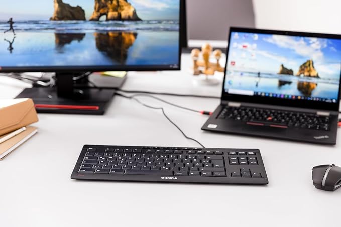 Cherry Stream Wired Keyboard Without Number Pad, Compact TKL | Whisper Quiet Keys, Unique Typing Feel, Slim Design, SX Scissor Switches, QWERTY, Black