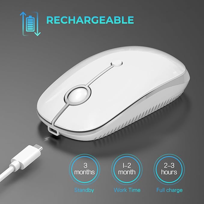 VssoPlor Type C Wireless Mouse, Dual Mode 2.4G Wireless Mouse USB C Cordless Mice with Nano USB and Type C Receiver Compatible with PC, Laptop, MacBook and All Type C Devices-White Silver