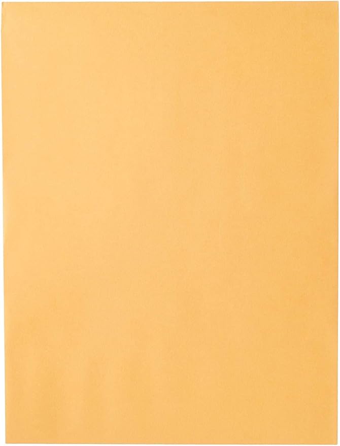 Mead Envelopes, 9" x 12", Clasp Closure, Brown Kraft All-Purpose 24-lb Paper Mailing Envelopes, 20 Count (76020) (Pack of 12)