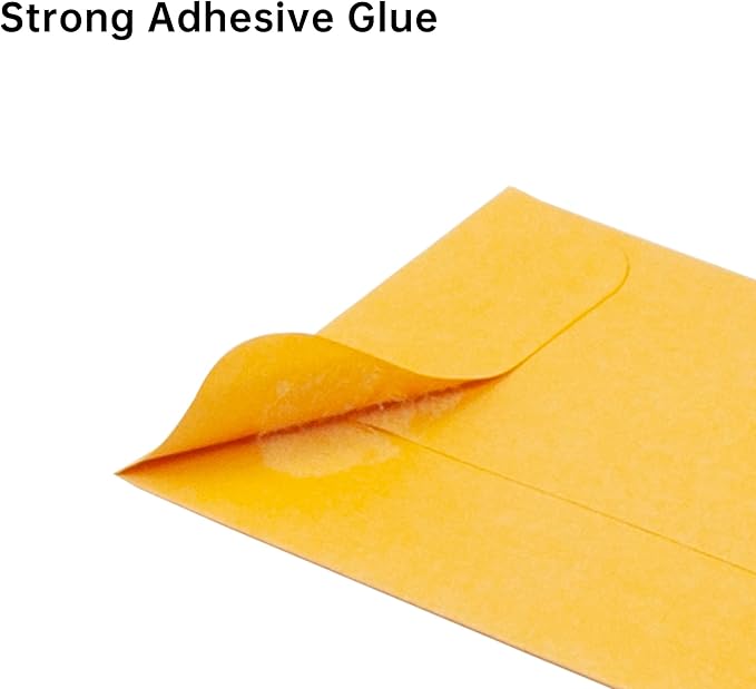 ESSENTIAL #1 200 Piece Coin Envelopes 2.25" x 3.5" with Gummed Flap | Small Parts Envelope for Home and Office Use (Assorted -200)