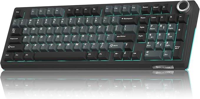 SOLAKAKA KI99 Pro Wireless Mechanical Keyboard Quiet Switch,Hot Swappable Pre-Lubed Switches Silent Keyboard with RGB Backlit,Gasket Structure Computer Gaming Keyboards(BlackBlue, Silent Switch)