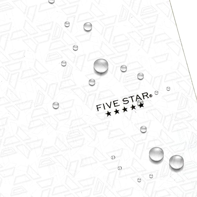 Five Star 2-Pocket Folder, Plastic Folder with Stay-Put Tabs, Fits 3-Ring Binder, Holds 8-1/2" x 11" Paper, White (333420I-ECM)