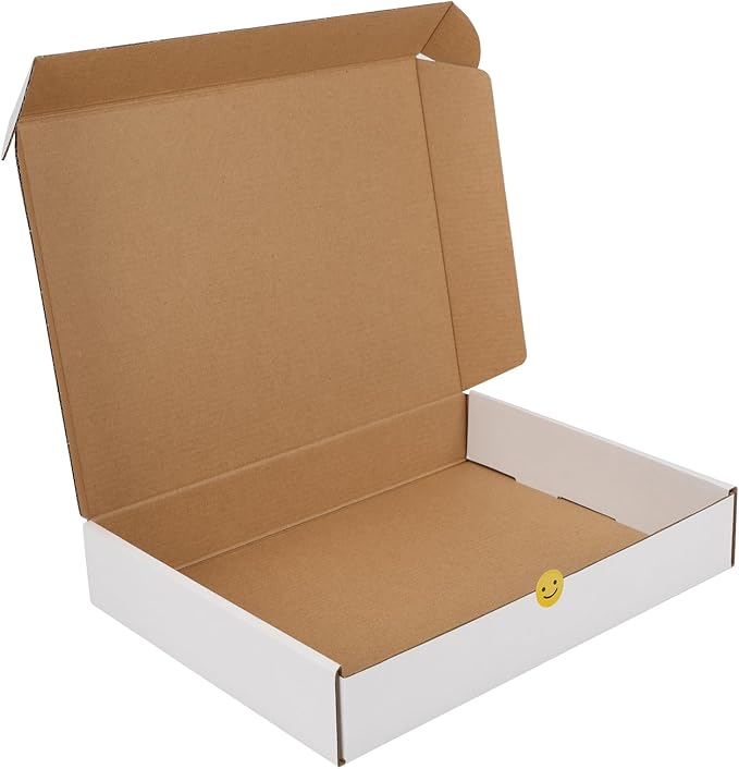 RLAVBL 12x9x2 Shipping Boxes Set of 1, White Corrugated Cardboard Box for Packing, Mailing, Business