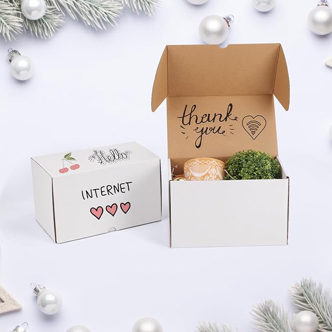 ZBEIVAN 10x6x6 White Shipping Boxes Set of 20, Corrugated Cardboard Mailer Boxes for Packaging Small Business Mailing Gifts