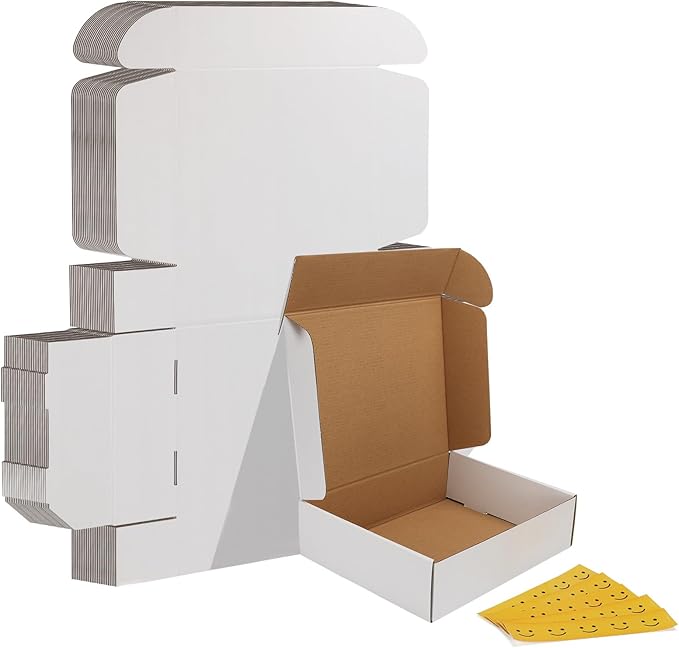HORLIMER 11x9x3 inches Shipping Boxes Set of 25, White Corrugated Cardboard Box Literature Mailer