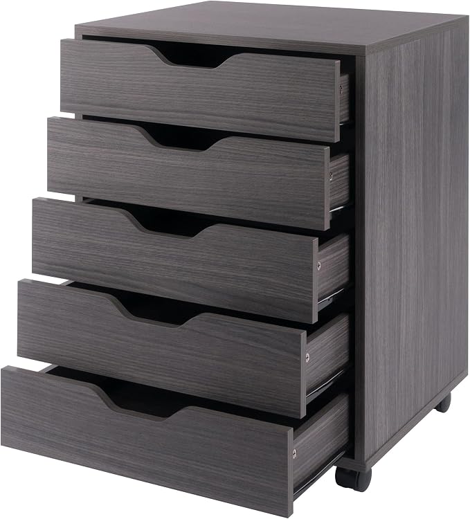 Winsome Halifax Mobile Storage Cabinet with Doors & Drawers, Stylish & Functional Home Storage Cabinet for Filing, Kitchen Organization, Moveable Furniture for Office, Dorms, Apartments