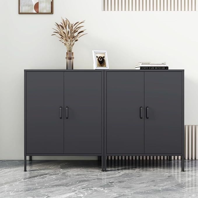 Chshin Black Metal Storage Cabinet,Metal Locker Storage Cabinet with 2 Doors and Shelves,Kitchen Pantry Cabinet,Modern Storage Freestanding Organizer Rust for Home,Kitchen,Office