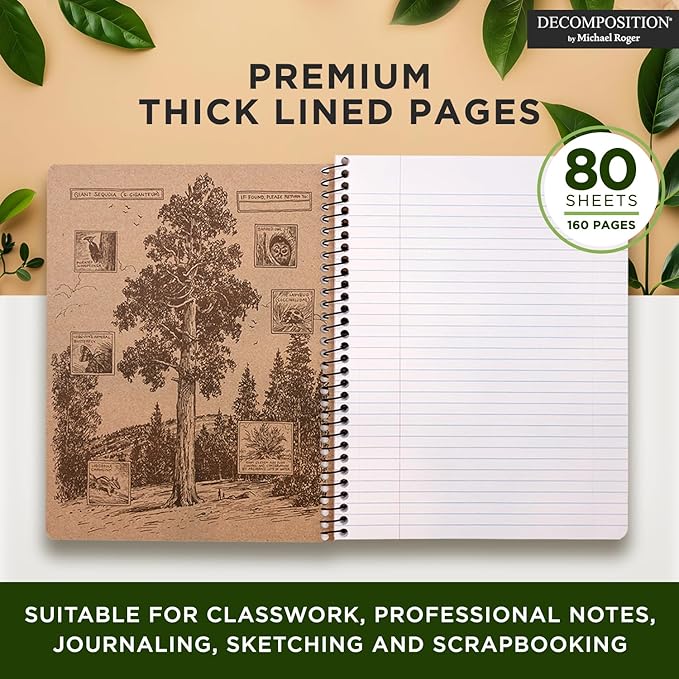 Decomposition 3-Pack Feathered Friends College Ruled Spiral Notebook - 9.75 x 7.5 Journal, 160 Lined Pages - 100% Recycled Paper - Notebooks for School Supplies, Home & Office - Made in USA