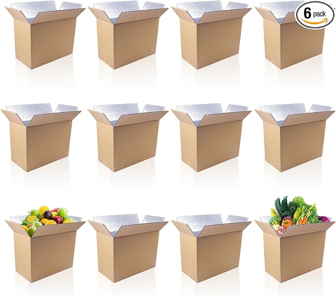 12 Pack 11x6.6x5.9 Inch Insulated Shipping Boxes for Shipping Frozen Food | Cold Shipping Boxes, Large Foil Cooler Carton Moving Kits for Mailing Packing, , Carton Material with Aluminum Foil
