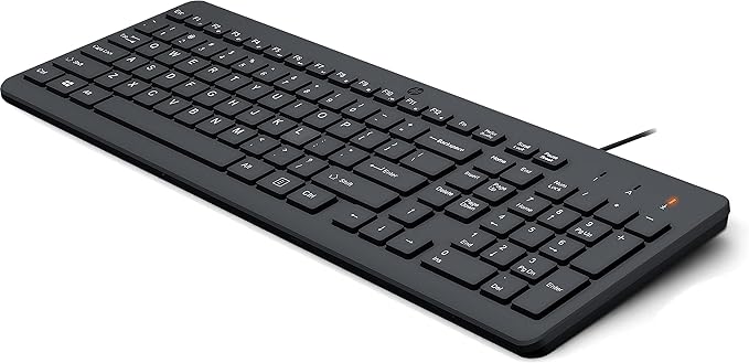 HP 150 Wired Keyboard with Numeric Keypad - Silent-Touch Chiclet Keyboard - Ergonomic, Comfortable - USB Plug-and-Connectivity, LED Indicators (664R5AA, Black) (Pack of 10)