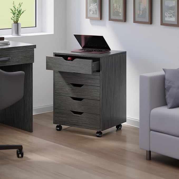 Winsome Halifax Mobile Storage Cabinet with Doors & Drawers, Stylish & Functional Home Storage Cabinet for Filing, Kitchen Organization, Moveable Furniture for Office, Dorms, Apartments