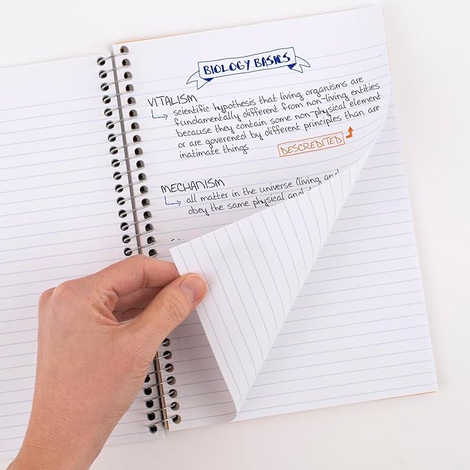 Five Star Spiral Notebook, 2 Subject, College Ruled, 9 1/2" x 6" 80 Sheets, Gray (840029AA3-ECM) (Pack of 12)