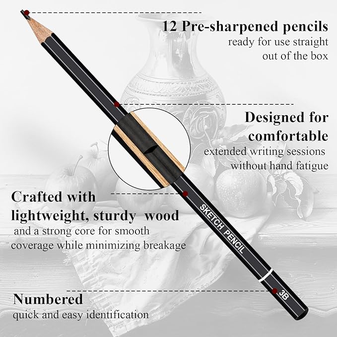 Sketch Pencils for Drawing, Set of 12 Drawing Pencils for Sketching Medium (6B - 4H), Artist Graphite Pencils, Sketch Set for Artists for Sketching Supplies, Art Supplies.