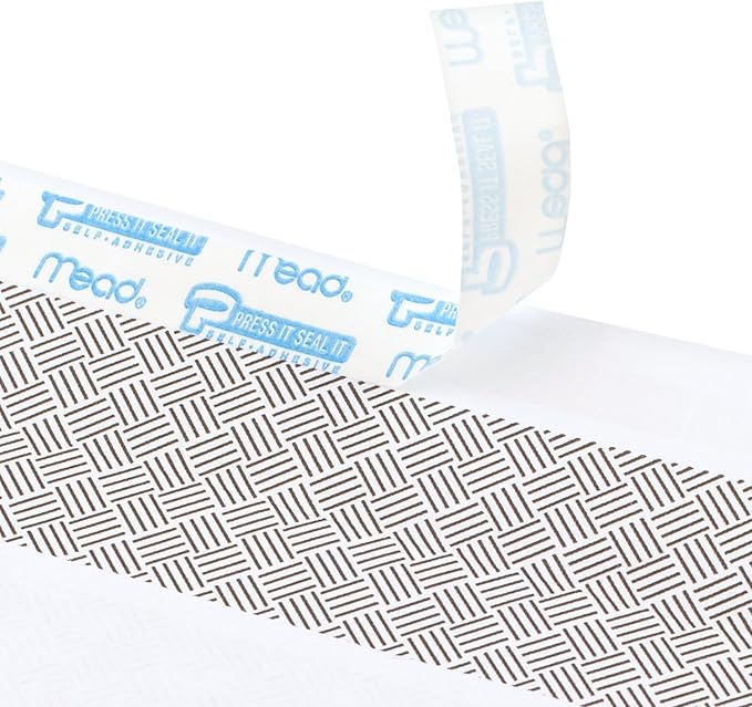 Mead #10 Security Business Envelopes Letter Size 4-1/8" x 9-1/2" – Peel and Seal, Privacy Lined, No-Window, Press-It Seal-It Self-Adhesive for Home & Office Mailing, 500 Count (740010)