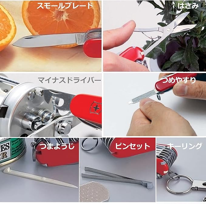Victorinox Classic SD Swiss Army Knife, Compact, 7 Functions, Swiss Made Pocket Knife with Small Blade, Screwdriver and Key Ring - Falling Snow (White)