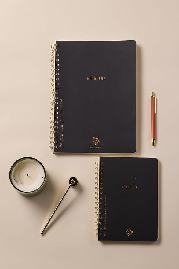 DesignWorks Ink Textured Paper Twin Wire Notebook, Daily Planner & Soft Cover Writing Journal, 160 Lined Perforated Pages, Large Spiral Notebook for Work & Journaling, 8.25 x 11.625 in, Black