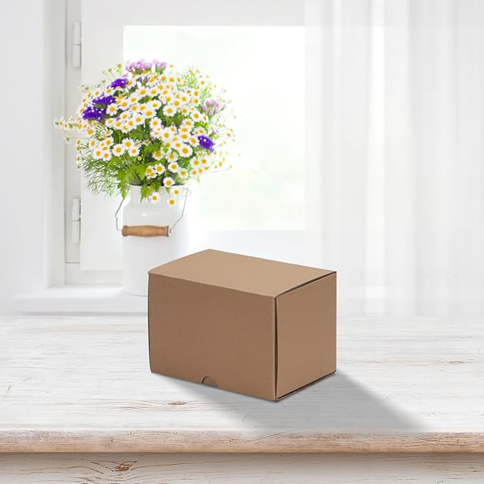 HORLIMER 6x4x4 inches Small Shipping Boxes Set of 25, Brown Corrugated Cardboard Box Literature Mailer