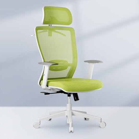 FLEXISPOT Ergonomic Office Chair Mesh Back Computer Chair Home Office Desk Chairs with Adjustable Lumbar Support/2D Headrest/Reliable Base, Elastic Foam Seat, Green, OC3 Cloud