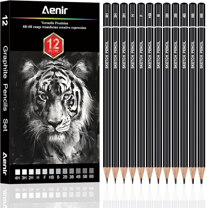 Sketch Pencils for Drawing, Set of 12 Drawing Pencils for Sketching Medium (6B - 4H), Artist Graphite Pencils, Sketch Set for Artists for Sketching Supplies, Art Supplies.