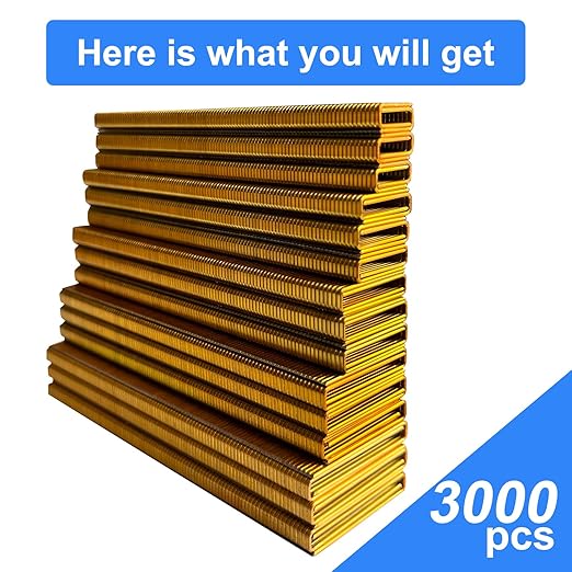 18 Gauge 1/4" Narrow Crown Staples (1-1/2",1-1/4" 1", 3/4", 1/2"), Galvanized Assorted Sizes for 18 GA Pneumatic or Electric Stapler or Staple Gun,Project Pack (Assembly 3000)