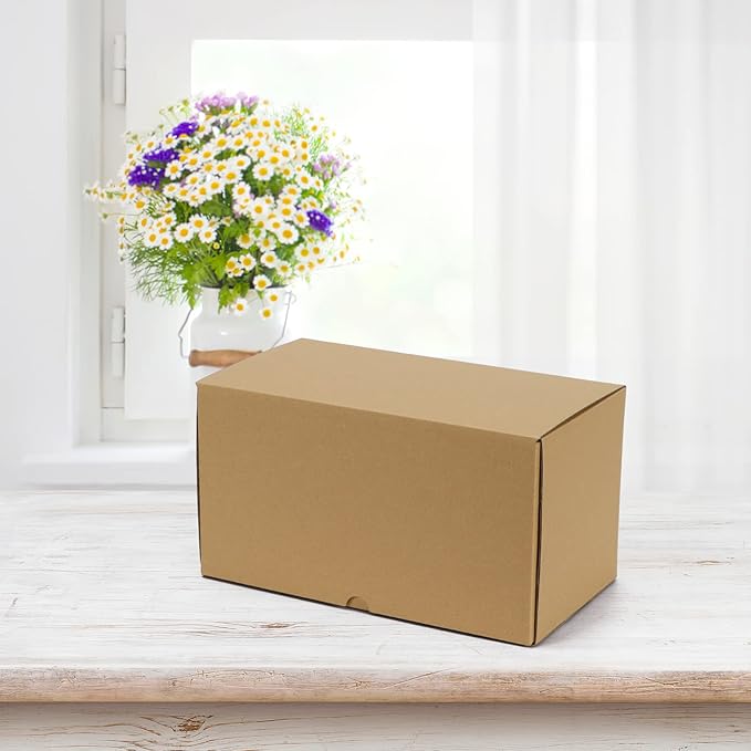 HORLIMER 11x6x6 inches Shipping Boxes Set of 20, Brown Corrugated Cardboard Box Literature Mailer